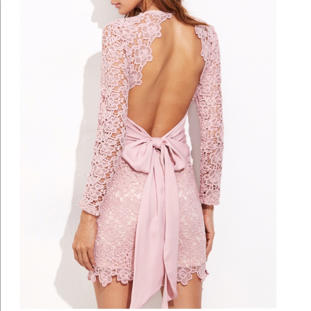 Open Back Embroidered Dress In Pale Pink
